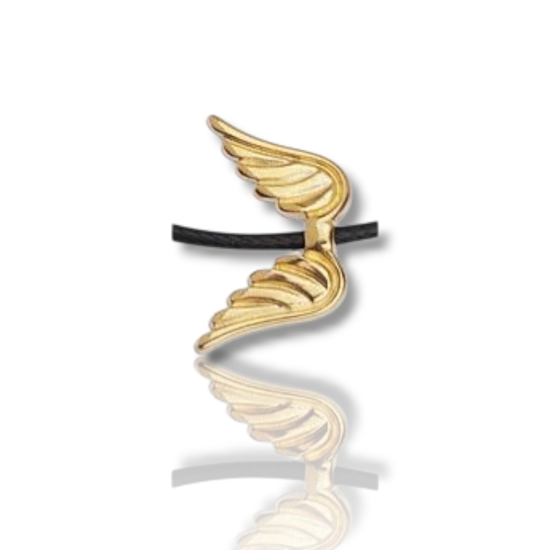 Επίχρυσο φτερό αγγέλου – γούρι προστασίας και τύχης 2025 (σετ 2 τεμαχίων)